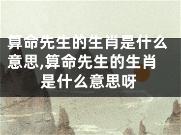 算命先生的生肖是什么意思,算命先生的生肖是什么意思呀