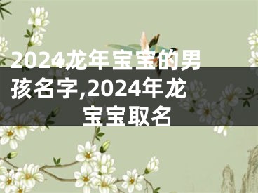 2024龙年宝宝的男孩名字,2024年龙宝宝取名