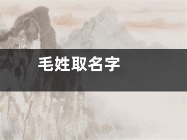  毛姓取名字 