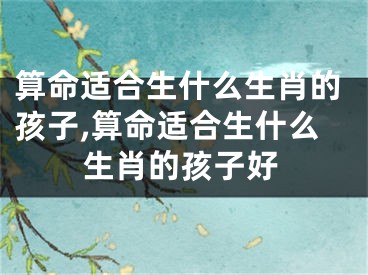 算命适合生什么生肖的孩子,算命适合生什么生肖的孩子好