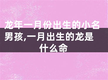 龙年一月份出生的小名男孩,一月出生的龙是什么命