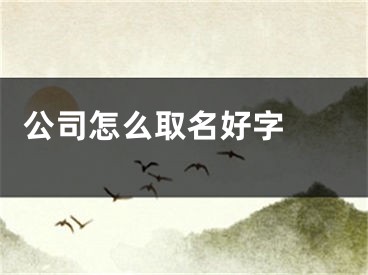  公司怎么取名好字 