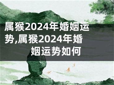 属猴2024年婚姻运势,属猴2024年婚姻运势如何