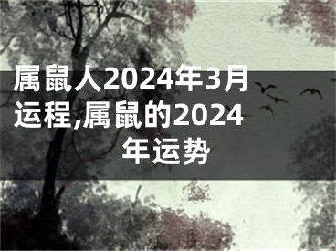 属鼠人2024年3月运程,属鼠的2024年运势