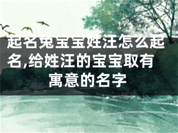 起名兔宝宝姓汪怎么起名,给姓汪的宝宝取有寓意的名字