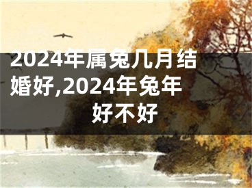 2024年属兔几月结婚好,2024年兔年好不好