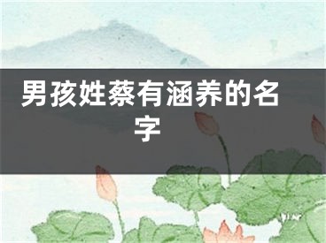  男孩姓蔡有涵养的名字 