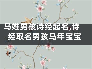 马姓男孩诗经起名,诗经取名男孩马年宝宝