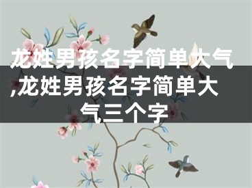 龙姓男孩名字简单大气,龙姓男孩名字简单大气三个字