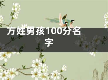  方姓男孩100分名字 