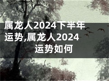 属龙人2024下半年运势,属龙人2024运势如何