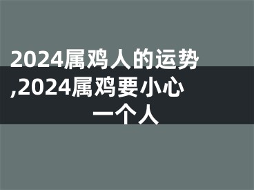 2024属鸡人的运势,2024属鸡要小心一个人