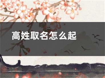  高姓取名怎么起 