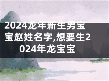 2024龙年新生男宝宝赵姓名字,想要生2024年龙宝宝