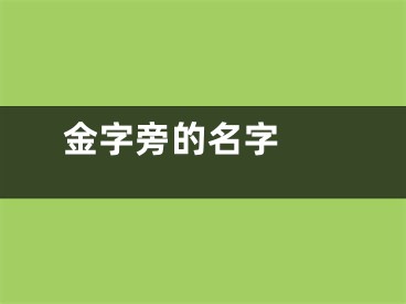  金字旁的名字 