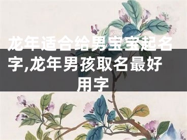 龙年适合给男宝宝起名字,龙年男孩取名最好用字