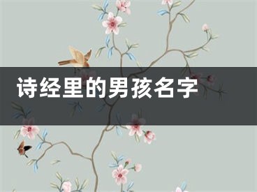  诗经里的男孩名字 