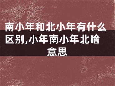 南小年和北小年有什么区别,小年南小年北啥意思