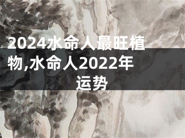 2024水命人最旺植物,水命人2022年运势