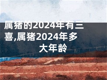 属猪的2024年有三喜,属猪2024年多大年龄