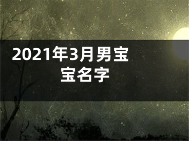  2021年3月男宝宝名字 