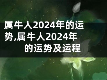 属牛人2024年的运势,属牛人2024年的运势及运程