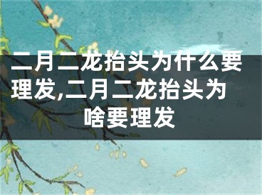 二月二龙抬头为什么要理发,二月二龙抬头为啥要理发