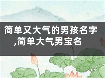 简单又大气的男孩名字,简单大气男宝名