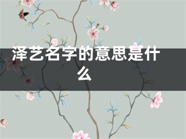  泽艺名字的意思是什么 