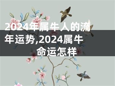 2024年属牛人的流年运势,2024属牛命运怎样