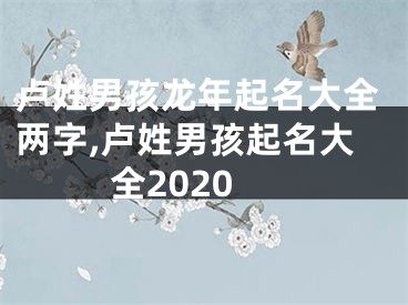 卢姓男孩龙年起名大全两字,卢姓男孩起名大全2020