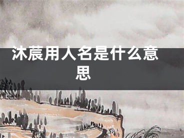  沐莀用人名是什么意思 