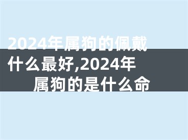 2024年属狗的佩戴什么最好,2024年属狗的是什么命