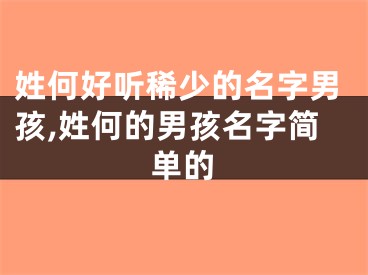 姓何好听稀少的名字男孩,姓何的男孩名字简单的