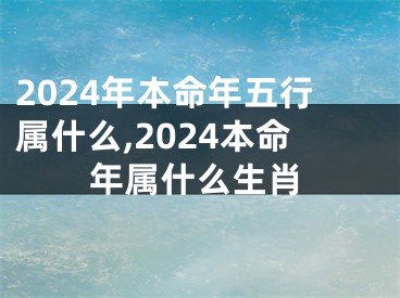 2024年本命年五行属什么,2024本命年属什么生肖