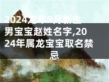 2024龙年9月新生男宝宝赵姓名字,2024年属龙宝宝取名禁忌