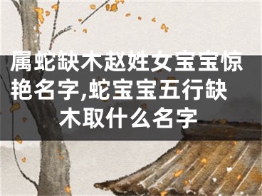 属蛇缺木赵姓女宝宝惊艳名字,蛇宝宝五行缺木取什么名字