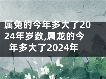 属兔的今年多大了2024年岁数,属龙的今年多大了2024年