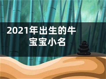  2021年出生的牛宝宝小名 