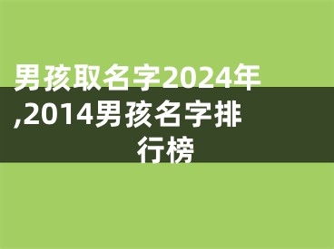 男孩取名字2024年,2014男孩名字排行榜