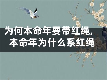 为何本命年要带红绳,本命年为什么系红绳