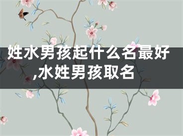 姓水男孩起什么名最好,水姓男孩取名