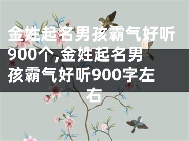 金姓起名男孩霸气好听900个,金姓起名男孩霸气好听900字左右