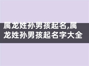 属龙姓孙男孩起名,属龙姓孙男孩起名字大全