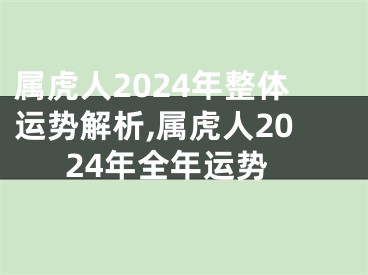 属虎人2024年整体运势解析,属虎人2024年全年运势