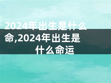 2024年出生是什么命,2024年出生是什么命运