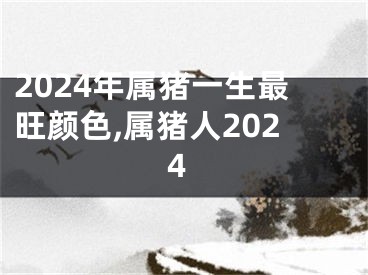 2024年属猪一生最旺颜色,属猪人2024