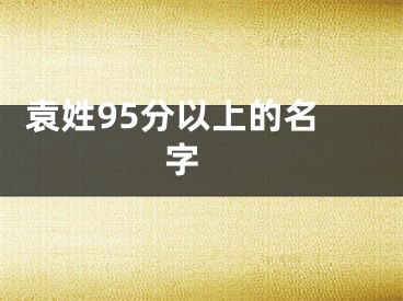  袁姓95分以上的名字 