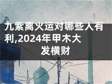 九紫离火运对哪些人有利,2024年甲木大发横财