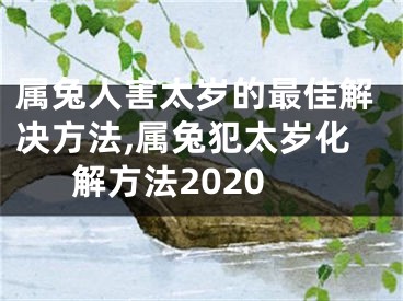 属兔人害太岁的最佳解决方法,属兔犯太岁化解方法2020